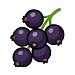 Black Currant