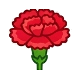 Carnation
