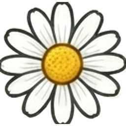 Chamomile