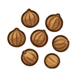 Coriander