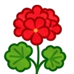 Geranium