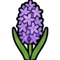 Hyacinth