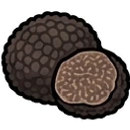 Truffle