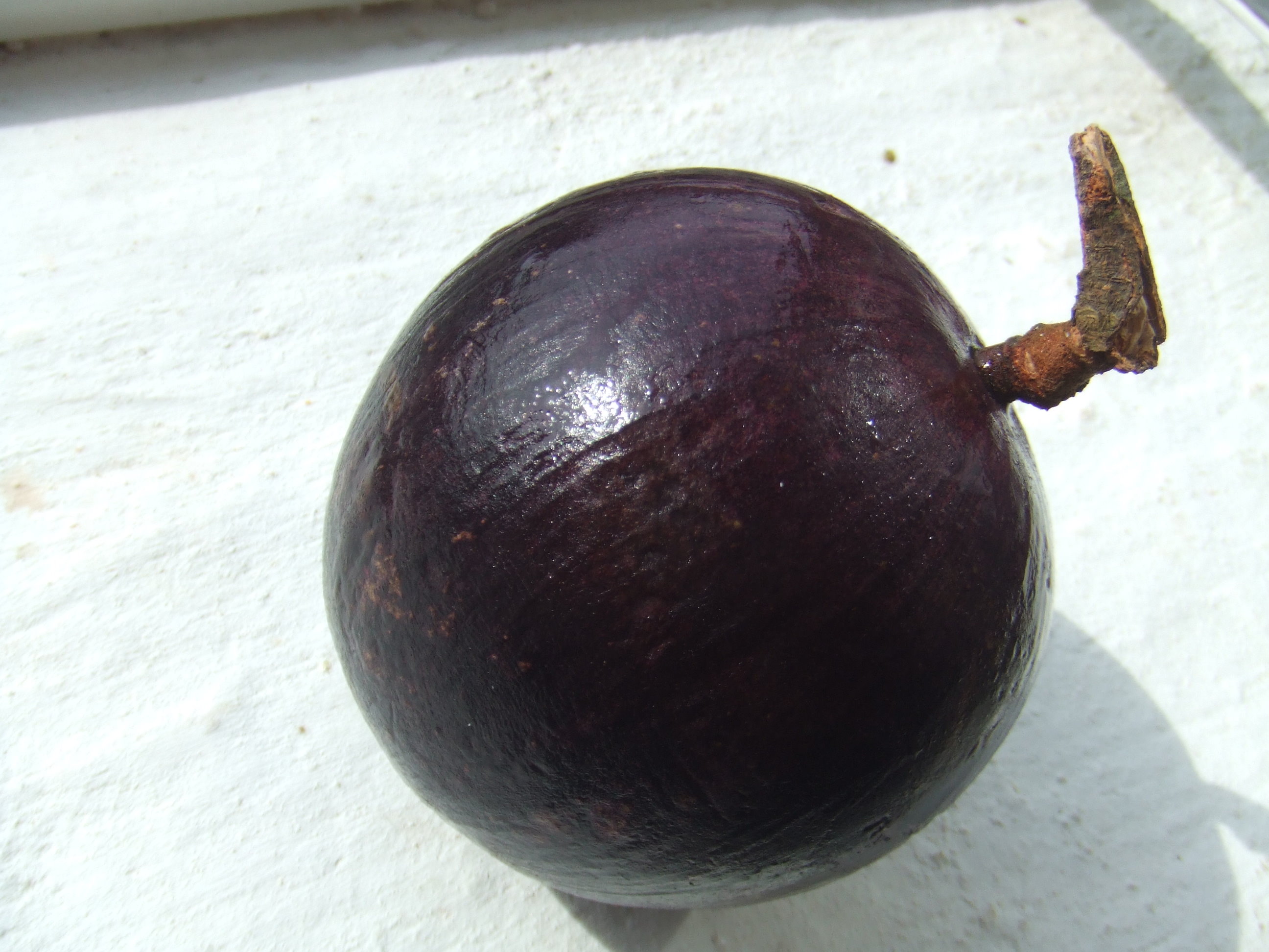 Star apple